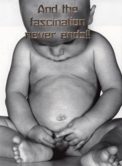 bb mdr