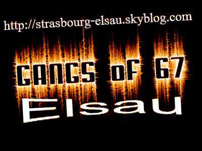 stras elsau